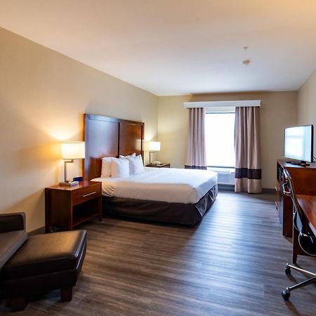 Comfort Inn&Suites Baton Rouge Airport Exterior foto