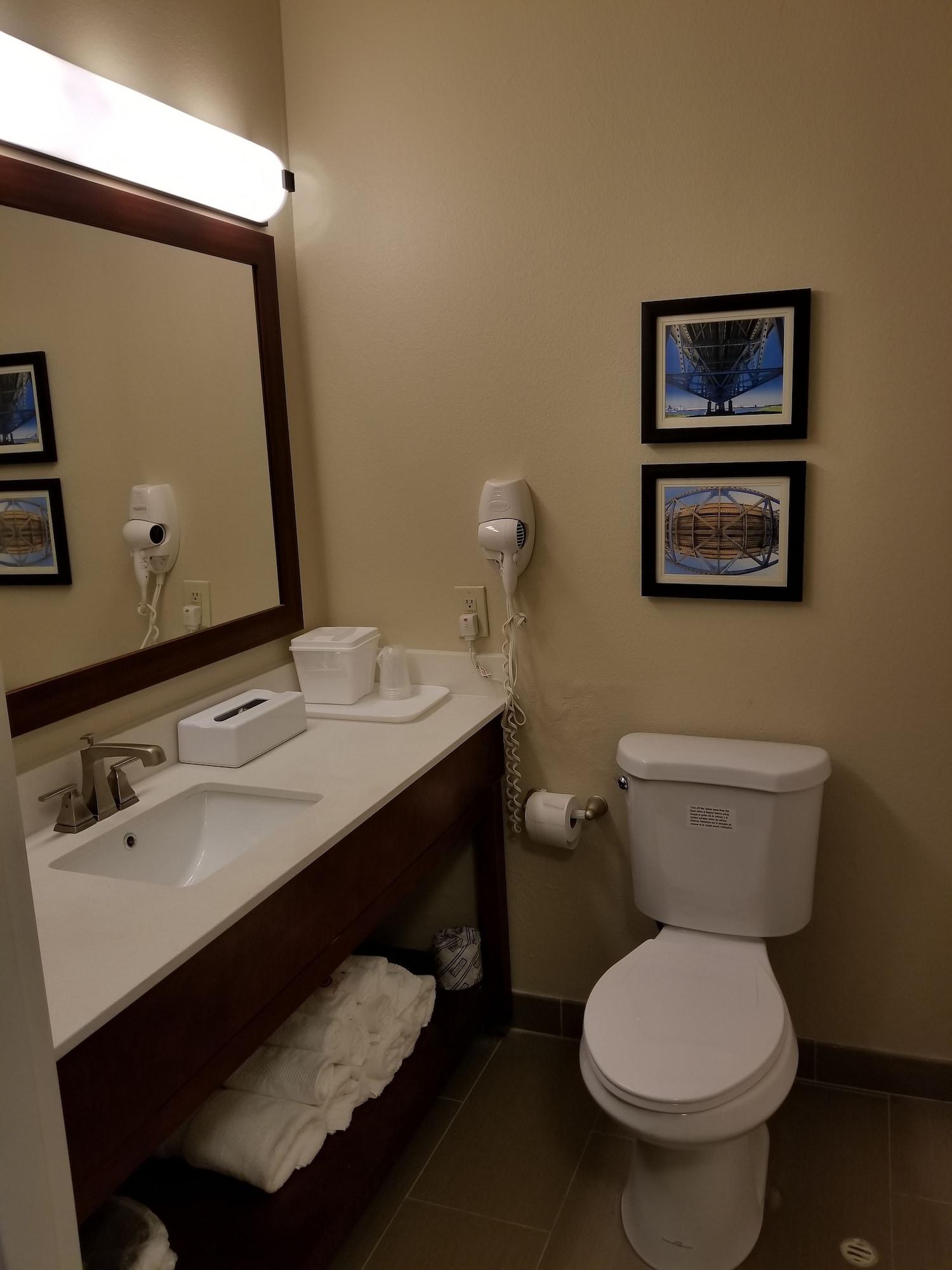 Comfort Inn&Suites Baton Rouge Airport Exterior foto