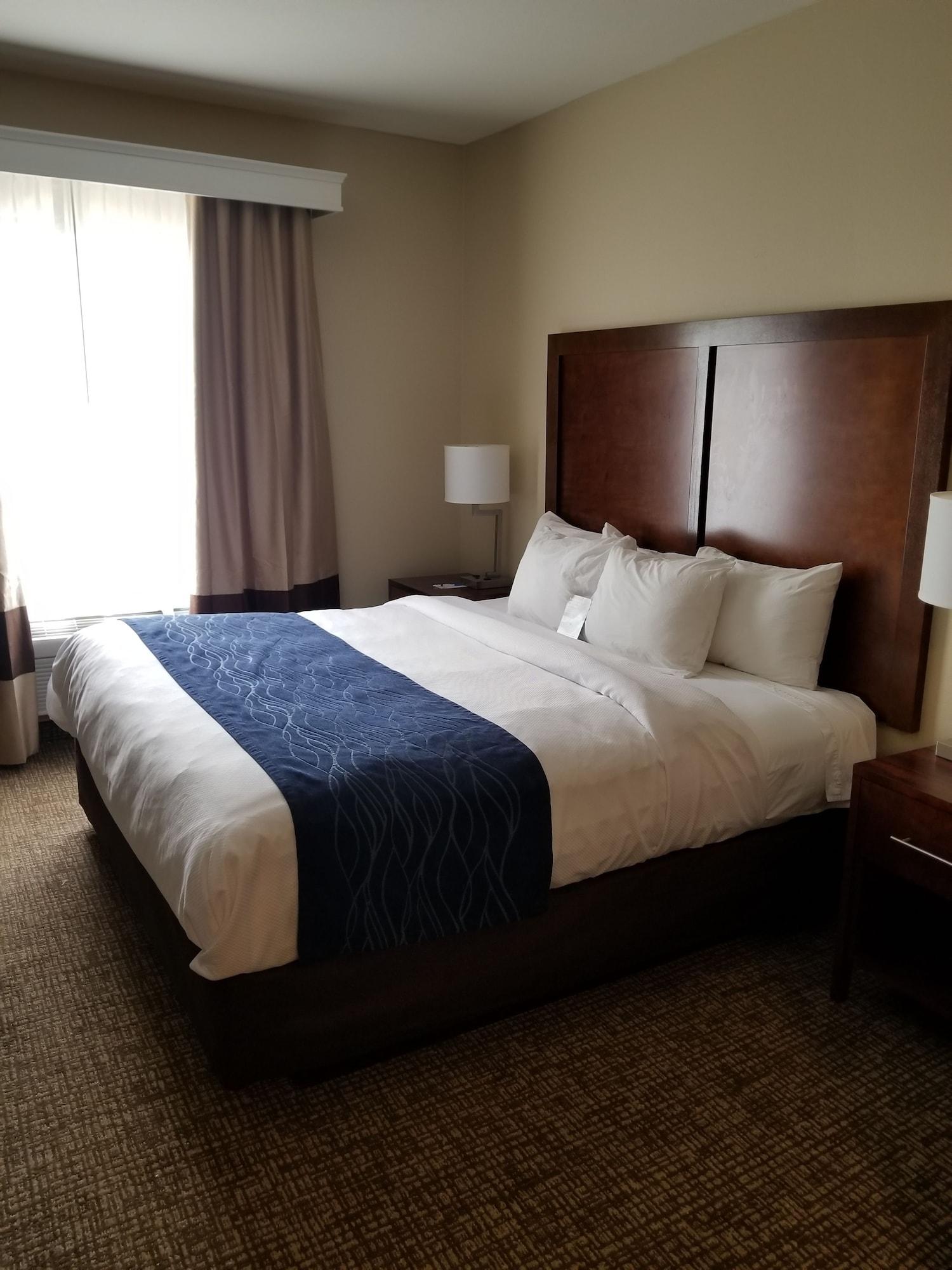 Comfort Inn&Suites Baton Rouge Airport Exterior foto
