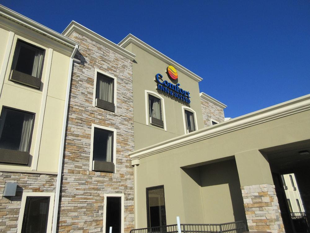 Comfort Inn&Suites Baton Rouge Airport Exterior foto