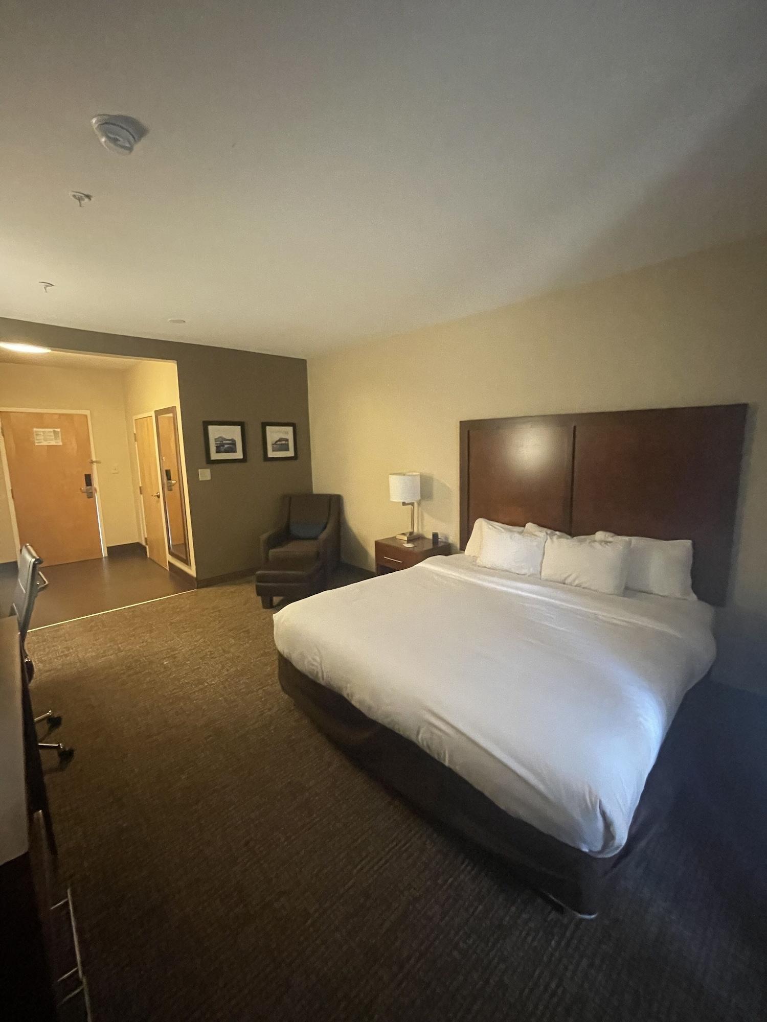 Comfort Inn&Suites Baton Rouge Airport Exterior foto