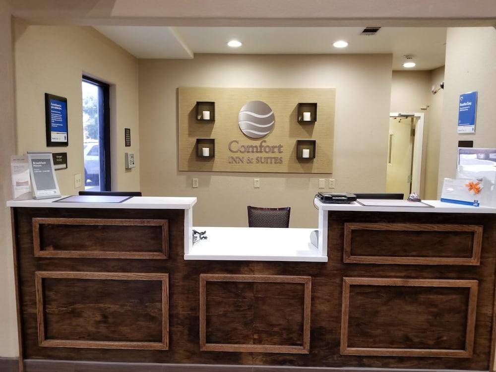 Comfort Inn&Suites Baton Rouge Airport Exterior foto